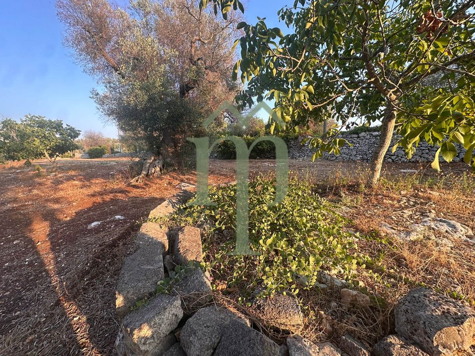 Helårsgrund i Carovigno, Brindisi - foto 3